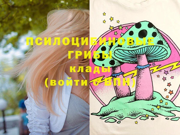 стаф Касимов