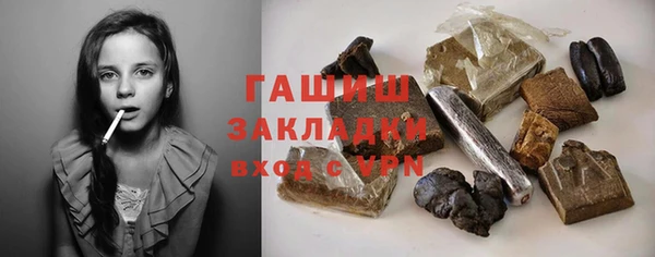 стаф Касимов