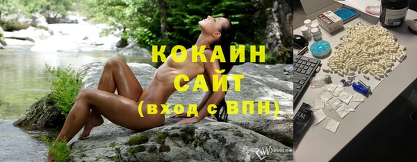стаф Касимов