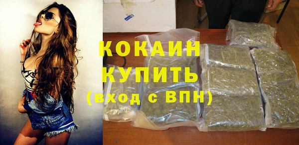 стаф Касимов