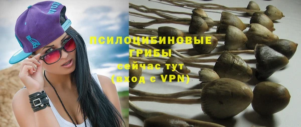 соль ск Карталы