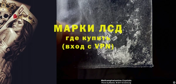стаф Касимов