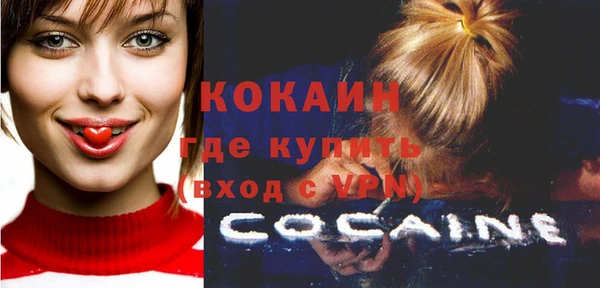 стаф Касимов