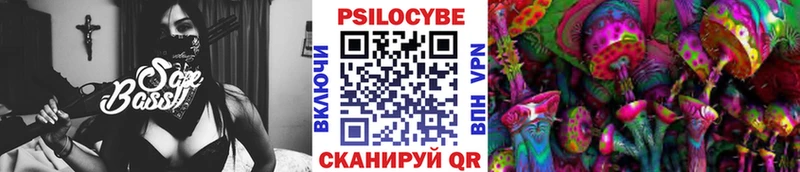 Псилоцибиновые грибы Psilocybine cubensis  Купить где  Белокуриха 